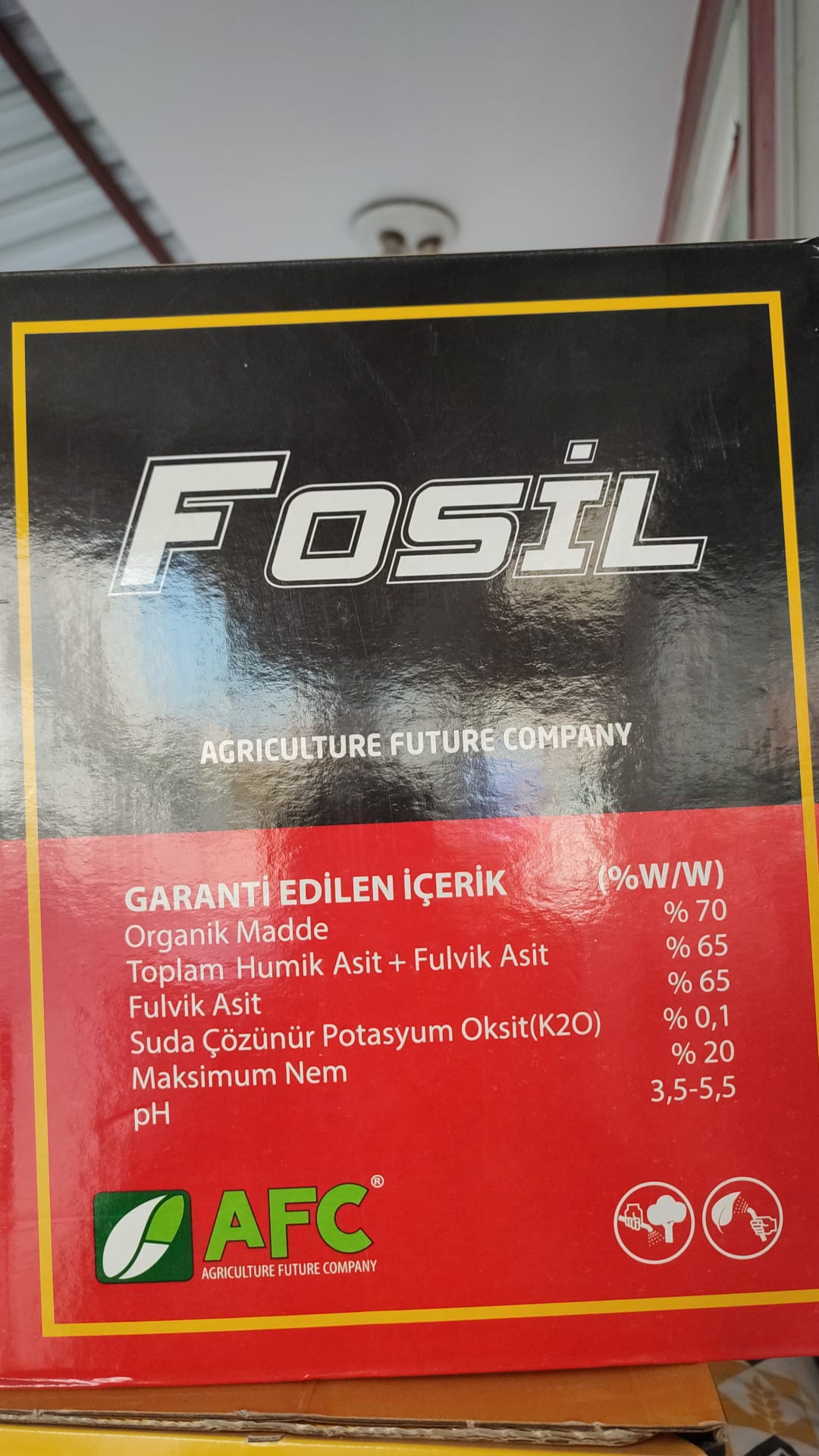 FOSİL