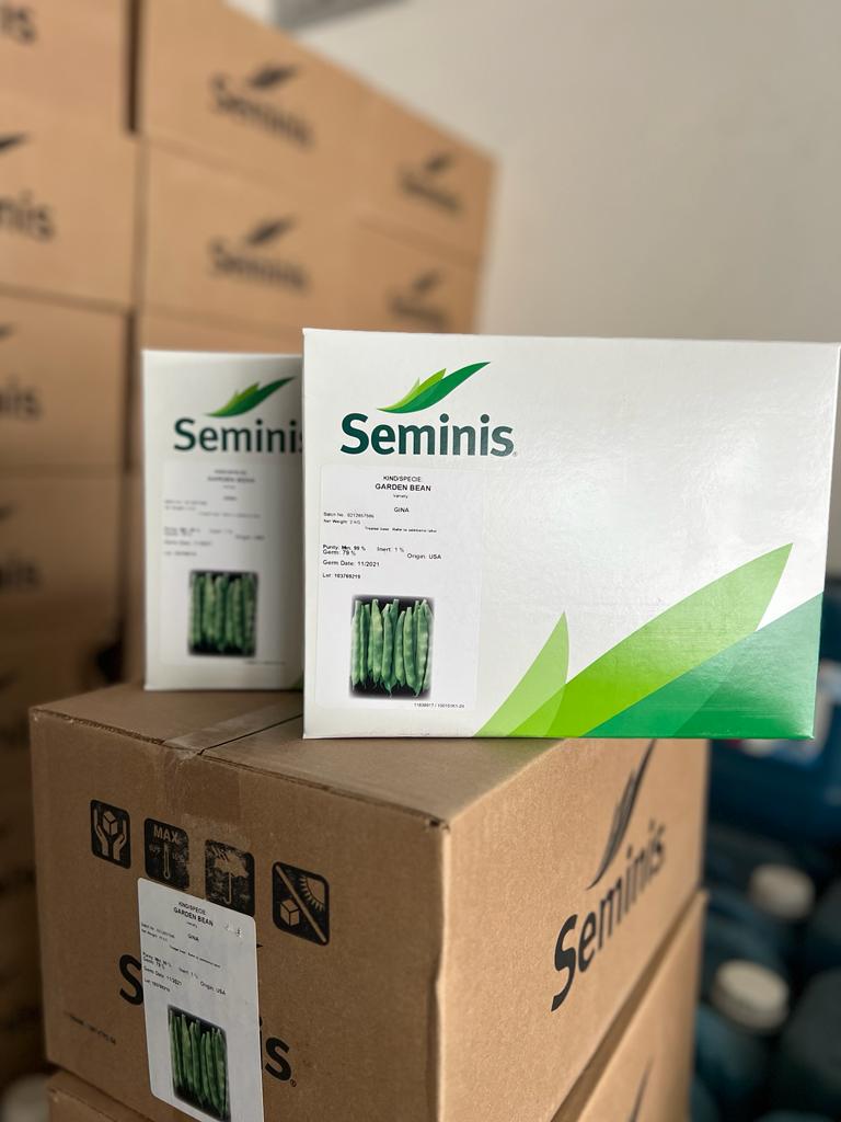 GINA FASÜLYE TOHUMU