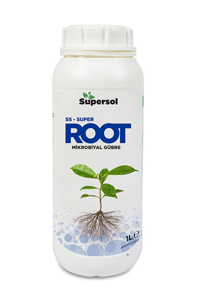 SS-SUPER ROOT