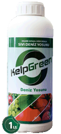 KELPGREEN Sıvı Deniz Yosunu (1lt)