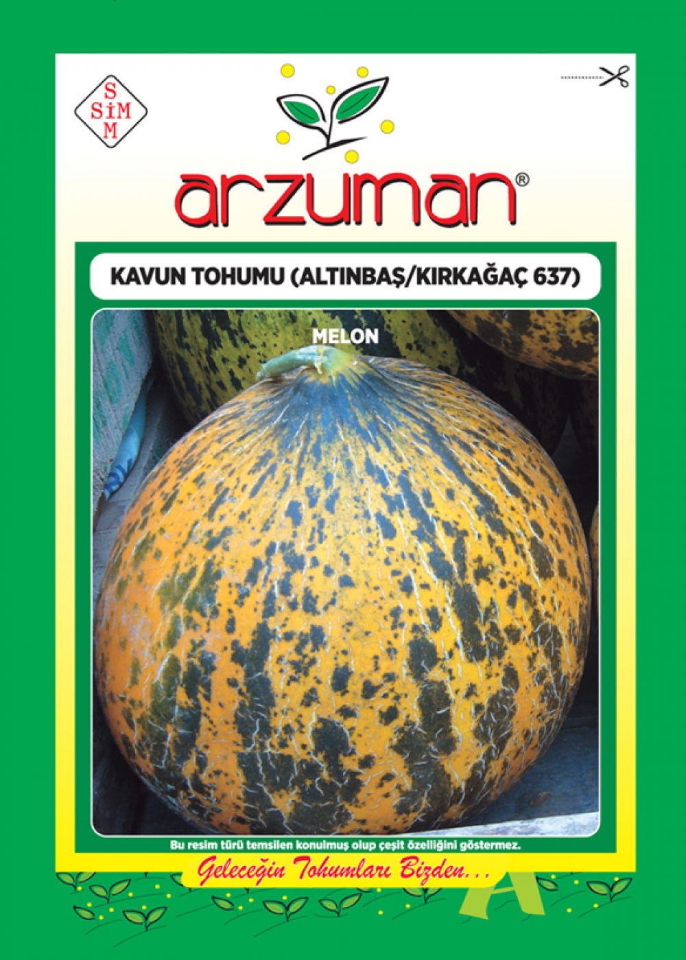 KAVUN TOHUMU (ALTINBAŞ/KIRKAĞAÇ 637)
