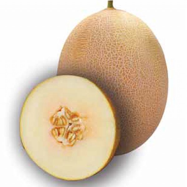 BALŞEKER F1 ANANAS TİPİ KAVUN TOHUMU