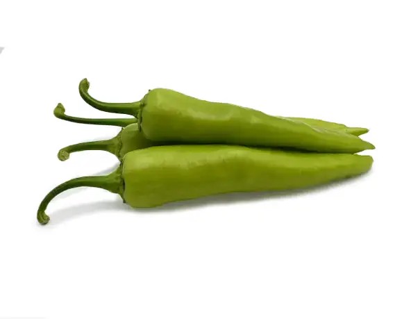 CENGİZ F1 ÇARLİSTON BİBER TOHUMU