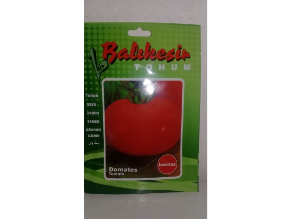 INVİCTÜS OTURAK DOMATES TOHUMU