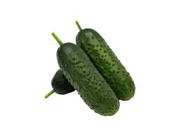 AÇELYA F1 DİKENLİ SALATALIK