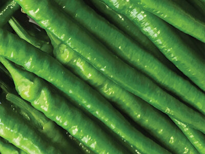 LEZİTA TATLI SİVRİ BİBER