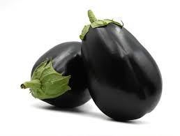 CAN F1 PATLICAN TOHUMU