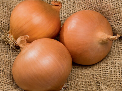 DAYTONA F1 SOĞAN TOHUMU