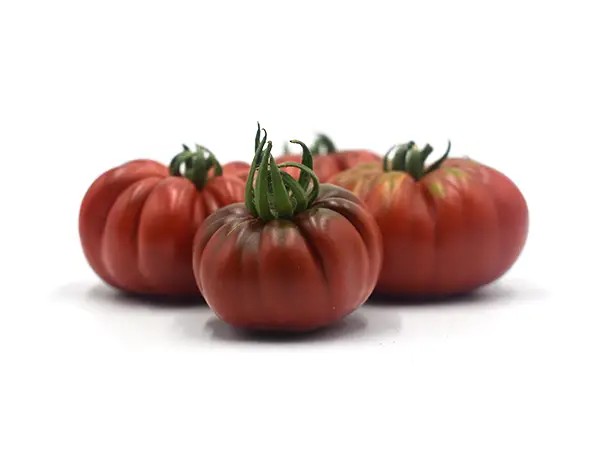 SABAH F1 DOMATES TOHUMU