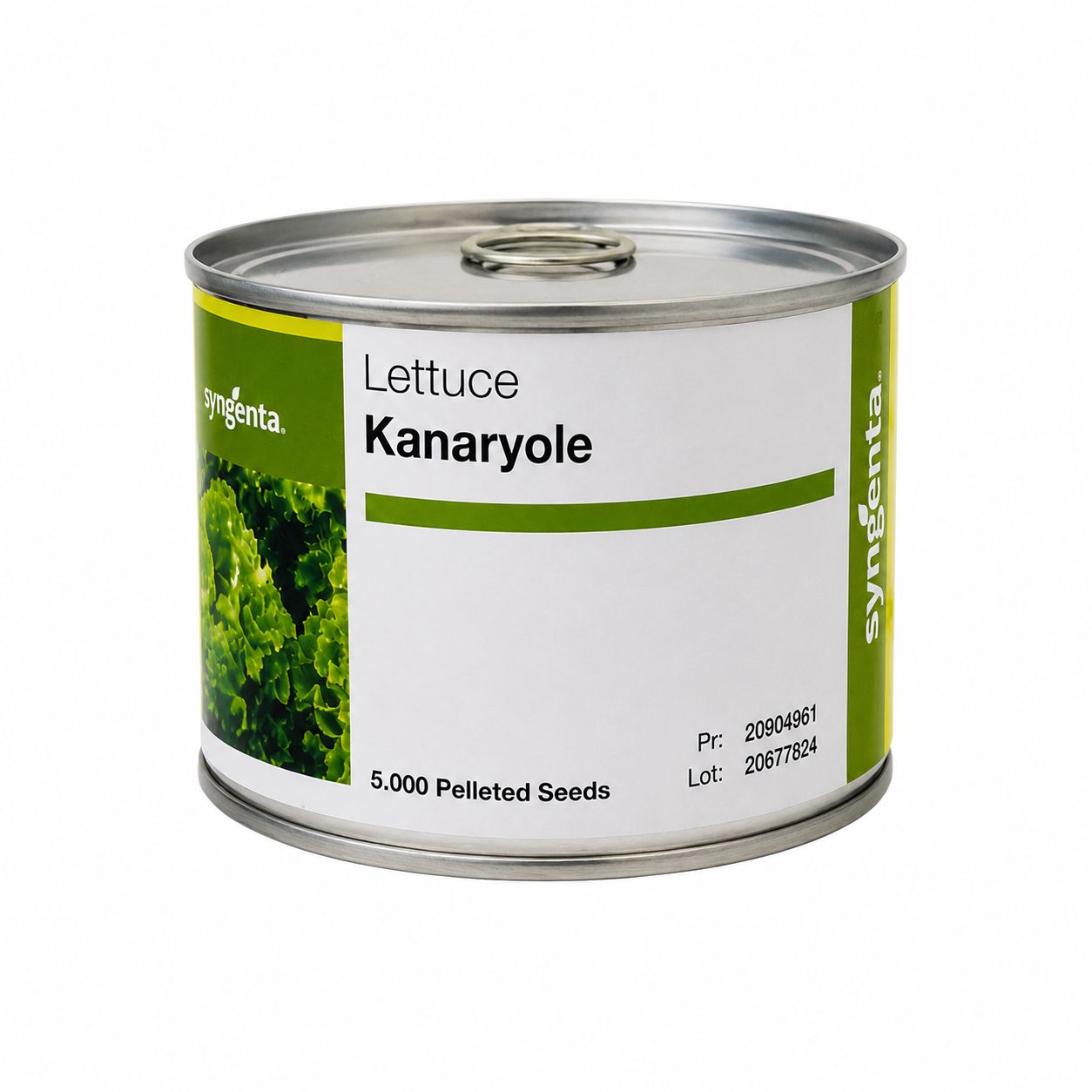 SYNGENTA KANARYOLE MARUL TOHUMU