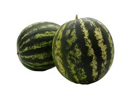 ARGETO BALANS F1 KARPUZ