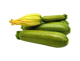 ARGETO ZİYNET F1 KABAK