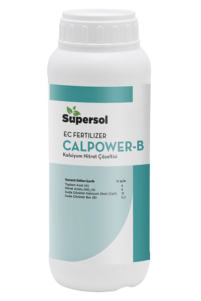 CALPOWER B