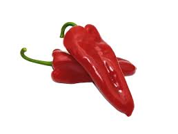 ARGETO TOROMAN F1 KAPYA BİBER