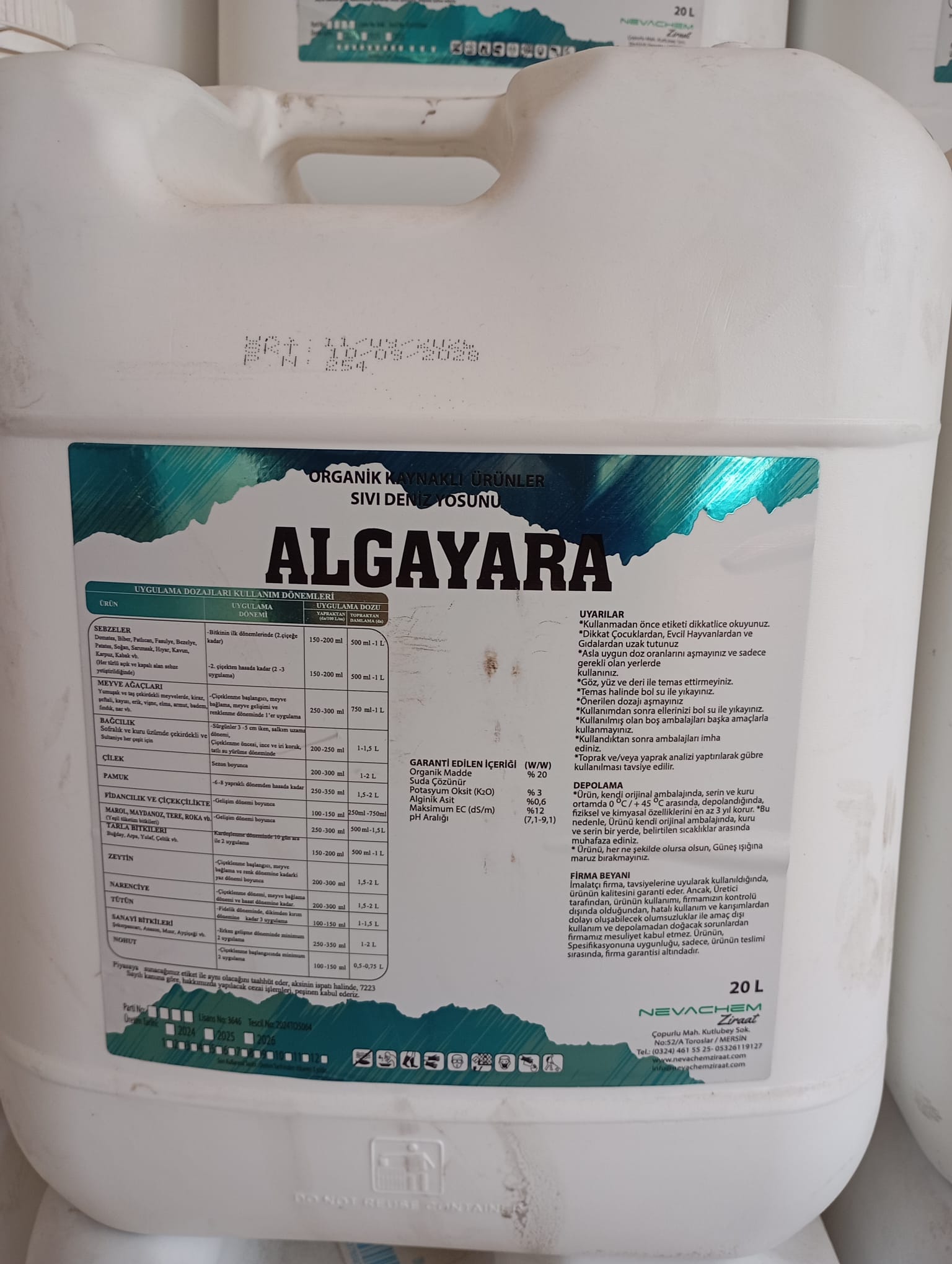 ALGAYARA DENİZ YOSUNU