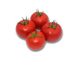 AYGÜL F1 DOMATES TOHUMU