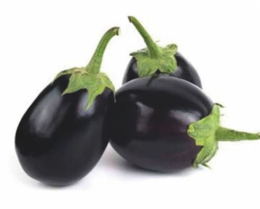 A-Z 62 TOPAN PATLICAN