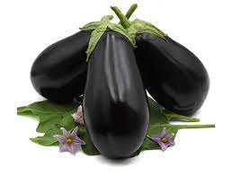 KUMA F1 PATLIAN TOHUMU