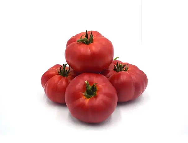 KERET F1 DOMATES TOHUMU