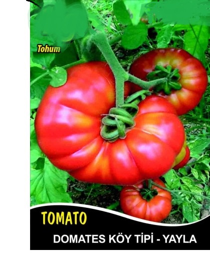 Domates Tohumu Mermande - Köy Tipi - Yayla - 5g (~ Takribi 750 Tohum)