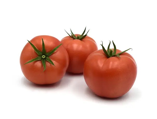 YAŞAR F1 DOMATES TOHUMU