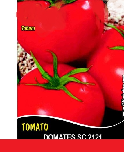 Domates Tohumu SC 2121