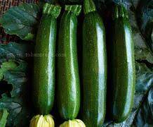 BRİLLANTE F1 SİYAH KABAK TOHUMU