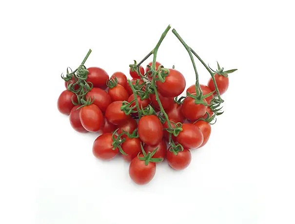 ALEM F1 DOMATES TOHUMU