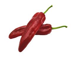 ARGETO CANAN F1 BİBER KAPYA